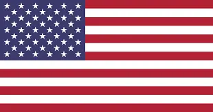 american flag-Farmington Hills
